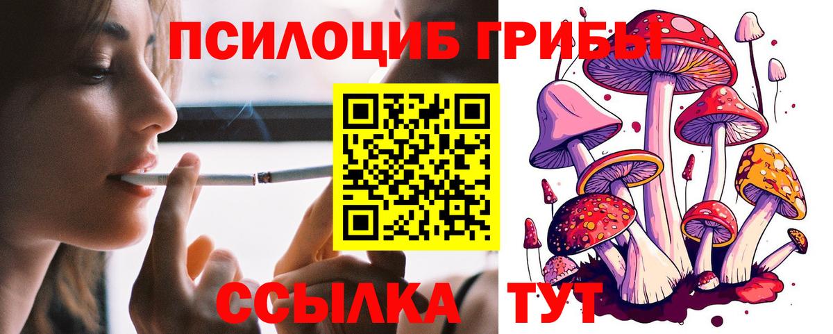 Мурманск  Галлюциногенные грибы мухоморы  Галлюциногенные грибы прущие грибы  хочу   Вход с VPN 
