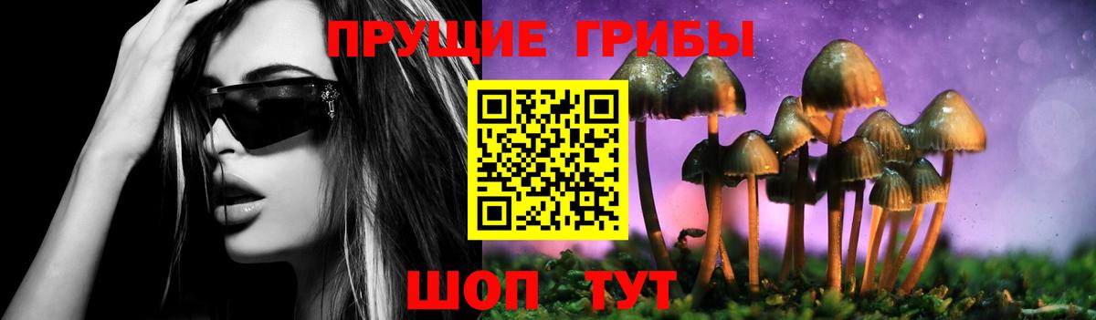 Галлюциногенные грибы Psilocybine cubensis Мурманск